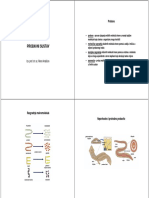 Probavni Sustav 2016-17 PDF