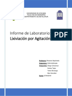 Informe Lixiviación por Columna Final.docx