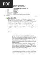 Trabalho Individual I - Estudos Disciplinares V