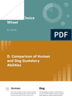 5 Senses Choice Wheel