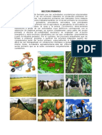 270271195-Sector-Primario-Secundario-y-Terciario-Agricultura-en-Guatemala.pdf