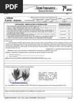 EXERCICIOS PLANTAE.pdf
