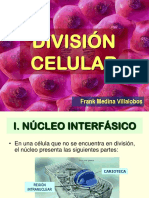 División Celular