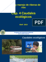 04 Caudales Ecologicos Conceptos 2017 Backup