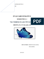 evaluare_sumativa_gr_mica_sem_1.docx