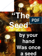 The Seed4