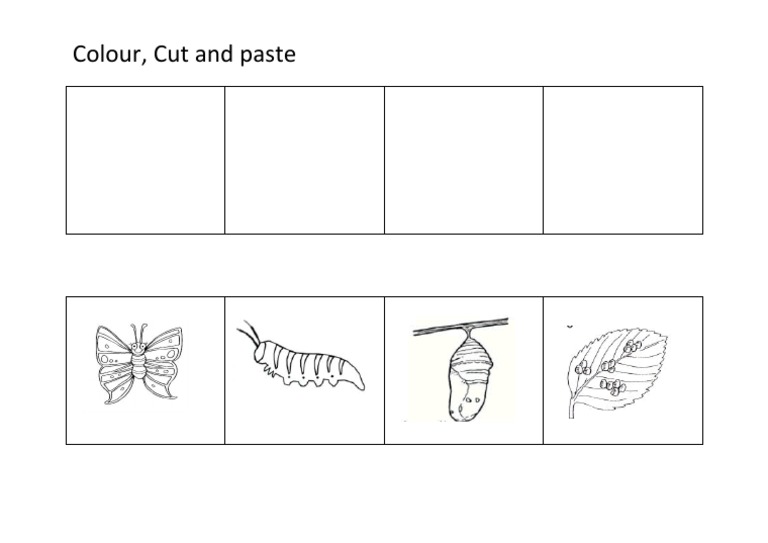 Colour and Cut Techniques Guide | PDF