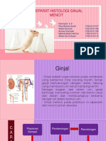 PHC Analgesik Done