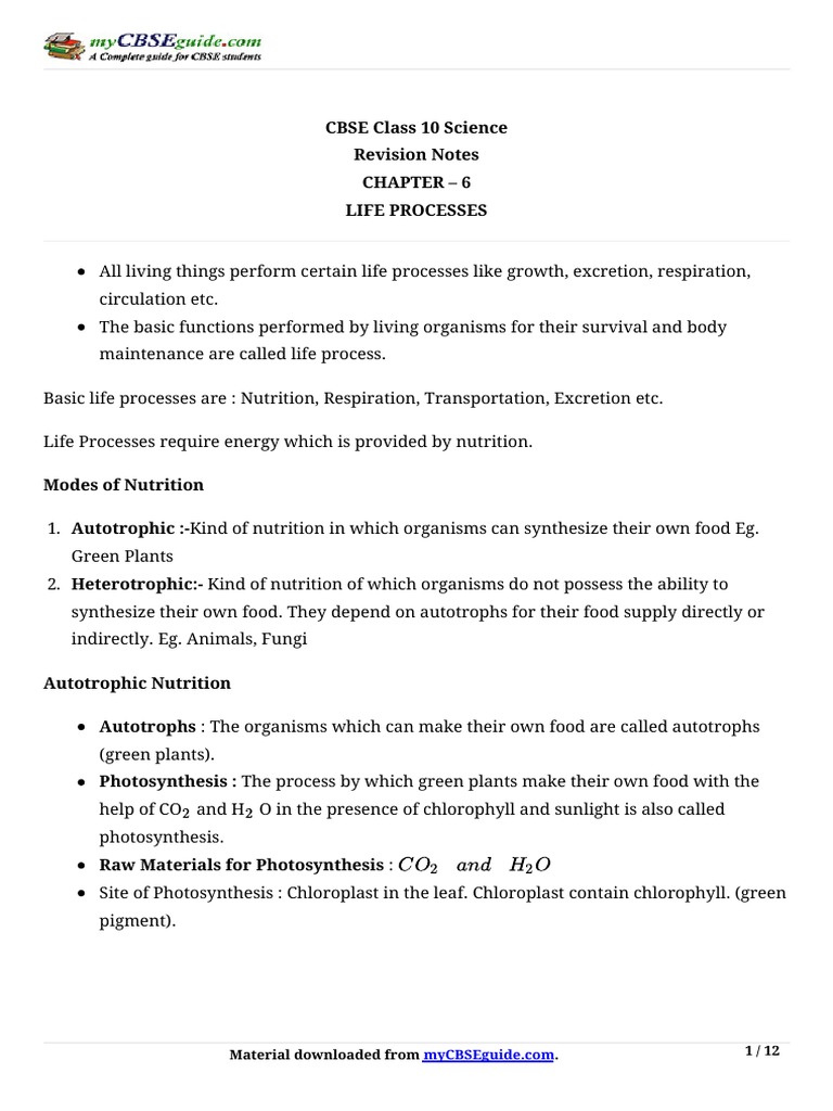 Class 10 Life Processes Notes | PDF | Kidney | Human Digestive System