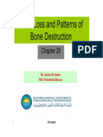 Bone Loss and Patterns of Bone Destruction.pdf