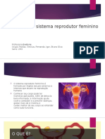 Algumas Doenças Do Sistema Reprodutor Feminino (1)