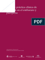 Guía de Práctica Clínica de Atención en El Embarazo y Puerperio