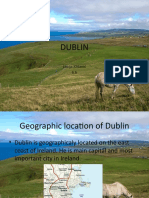 Dublin's History and Culture