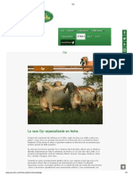 Gyr.pdf