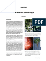 02_morfologia ulluco.pdf