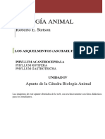 Asquelmintos Acantocefalos, Rotiferos y Gastrotricos Apunte Teórico 2014