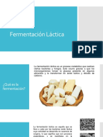 fermentacion lactica