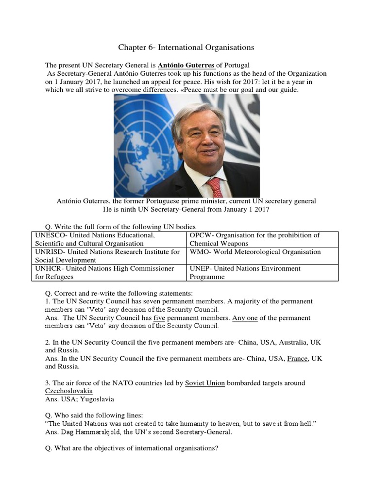 Overview of International Organizations | PDF | United Nations General ...