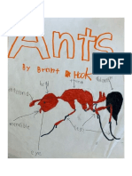 Brant H - Invertebrate Animal Report-2