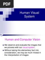 2 HumanVisualSystemEYE