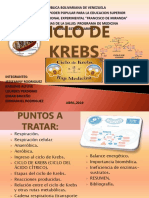 CICLO de KREBS (Diapositivas)