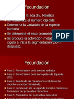 02 Fecundacion y Primera semana.ppt