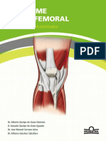 Guia Sindrome Patelofemoral Grunethal