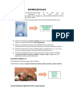 Alimentos Transgenicos