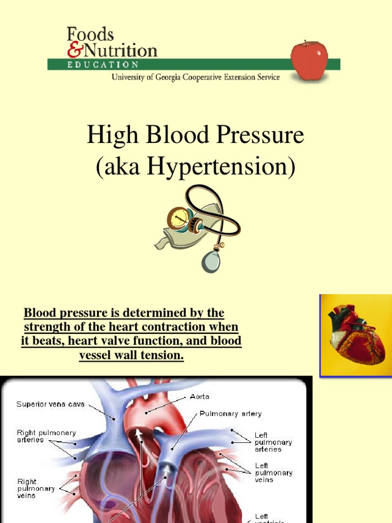 WHAT CAUSES HIGH BLOOD PRESSURE PDF visual data 3