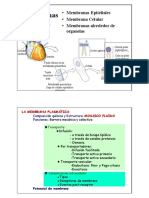 Membranas Transporte