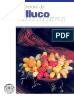 Descriptores Del Ulluco Ullucus Tuberosus 904 PDF