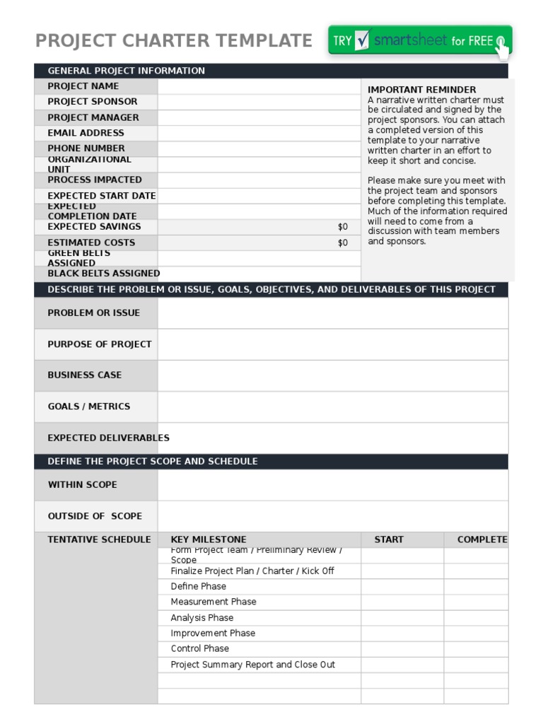 IC Project Charter Template 8556 | PDF | Reliability Engineering | Economies