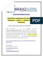 Questões Comentadas Proc Trabalho Bruno Klippel 1