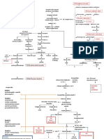 Pathway Dhf New1