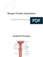 Benign Prostat Hiperplasia: Debora Clara Ompusunggu