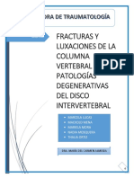 Patología Degenerativa Del Disco