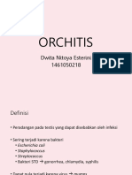 Orchi