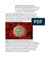 Virusul Hepatic B