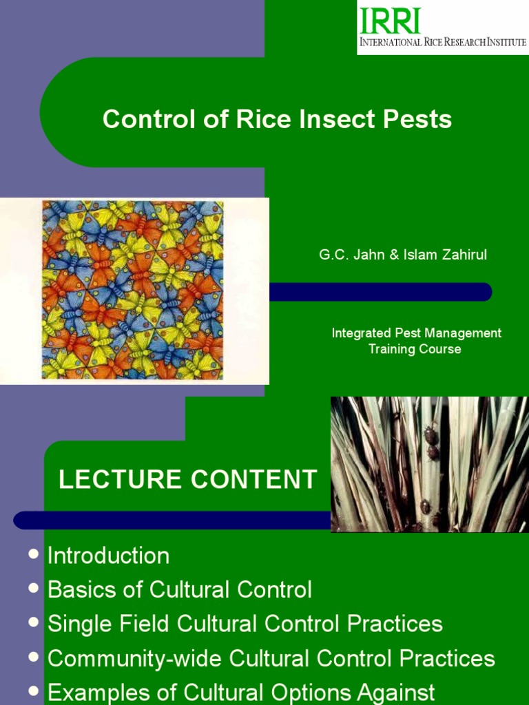 Integrated Pest MGT | PDF | Crop Rotation | Agriculture