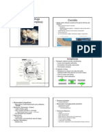 Antiprotozoal Drugs Resistance