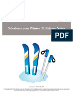 Salesforce.com Winter11 Release Notes