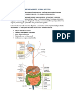 Enfermedades Del Sistema Digestivo