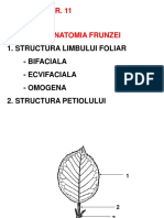 LP11_semI.pdf