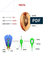 Lp16_semI (2).pdf