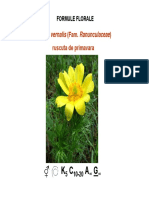 Lp13 Semi PDF