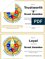 Trustworth Y: Scout Awardee