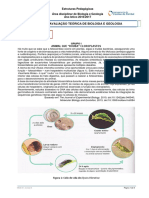 PCR amplifica DNA para identificar vítima desaparecida