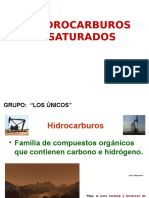Hidrocarburos Saturados Los Unicos 22222222222222222222555 (1)