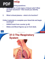 The Respiratory System