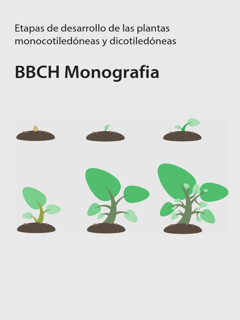 Escala BBCH PDF Agronomía Agricultura